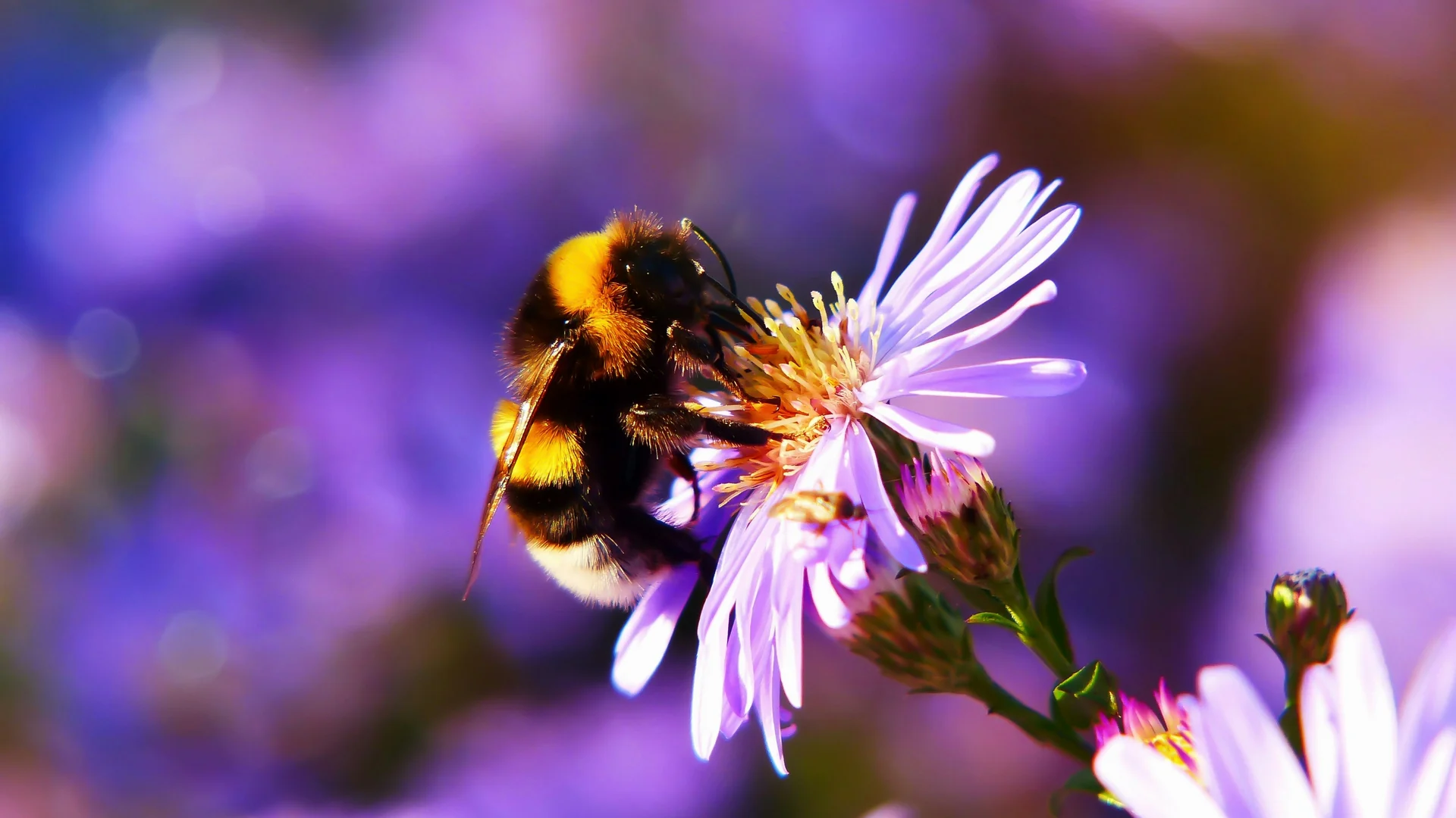 Nature photography, Emily Smith portfolio image